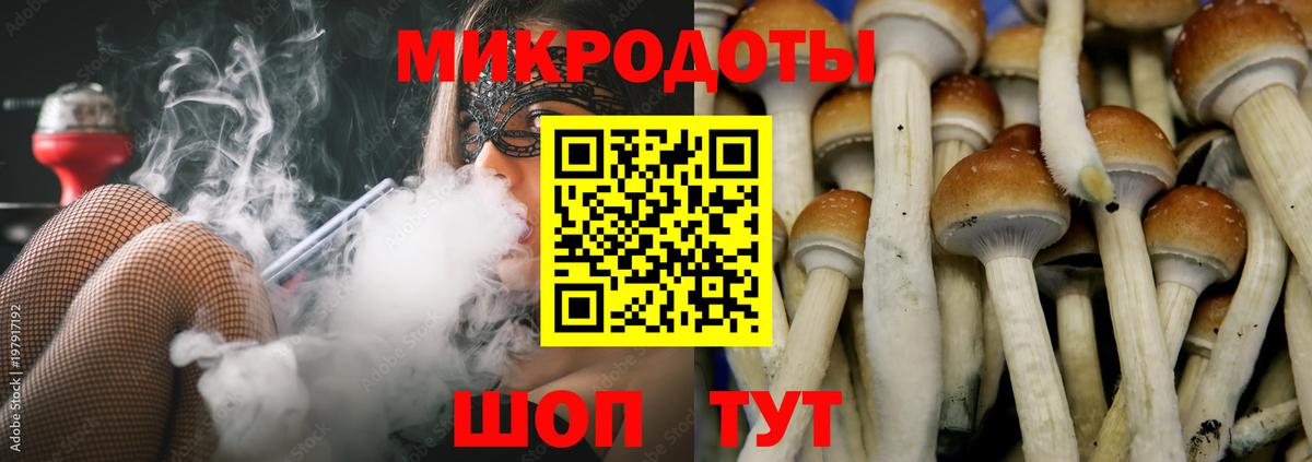 Псилоцибиновые грибы прущие грибы  Вход с VPN  Псилоцибиновые грибы ЛСД  Всеволожск 