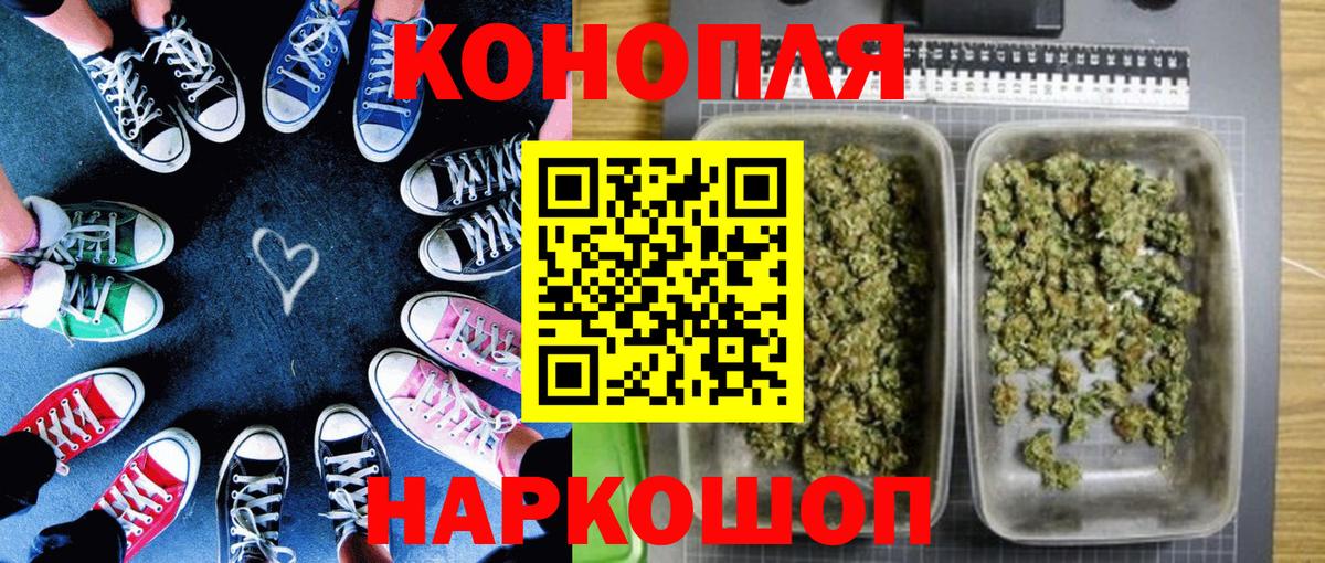 Шишки марихуана планчик  Вход с VPN  Шишки марихуана планчик  Шишки марихуана OG Kush  Всеволожск 